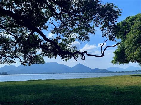 Kandalama Lake An Ancient Lake In Dambulla Of Sri Lanka