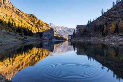 Tree Body Of Water Between Mountains During Sunset Conifer Image Free Photo