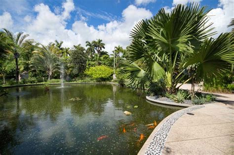 Jardín Botánico De Miami Beach Enjoy Miami Beach