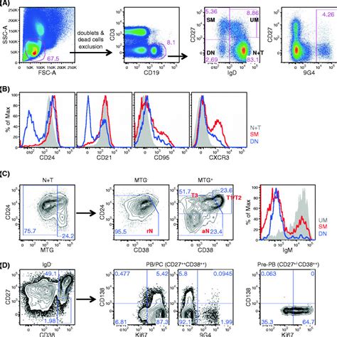 Gating Schemes For The Analysis Of Human B Cells A Cell Aggregates