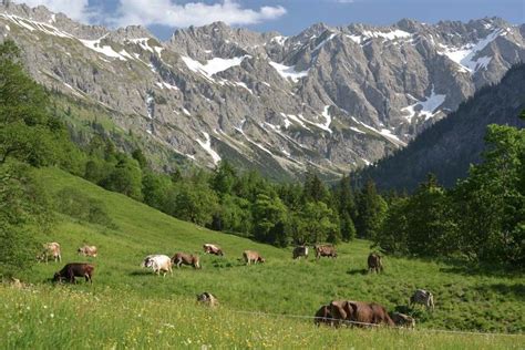 Naturschutzgebiet Allgäuer Hochalpen mit Bad Hindelang und Oberstdorf