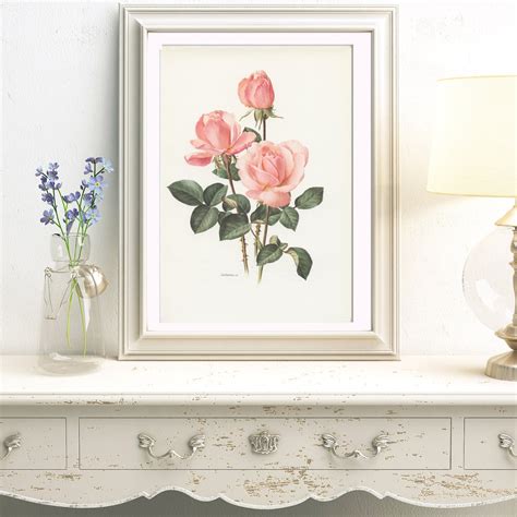 Pale Pink Castel Versailles Botanical Rose Print From Etsy