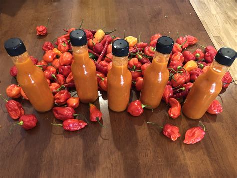 First Try At Hot Sauce Ghost Pepper Sauce So Good R HotPeppers