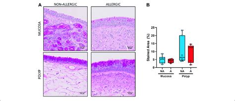 A B The Numbers Of Eosinophils And Goblet Cells In The Nasal Mucosa