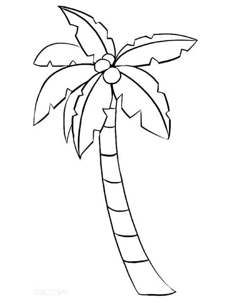 Coconut Tree Coloring Page