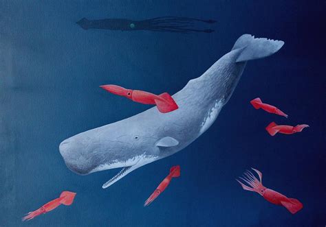 Sperm Whale And Jumbo Squid Painting By Richard Ellis Fine Art America