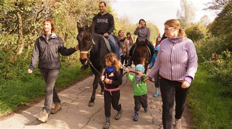 En promenade avec les ânes Asinerie de l O