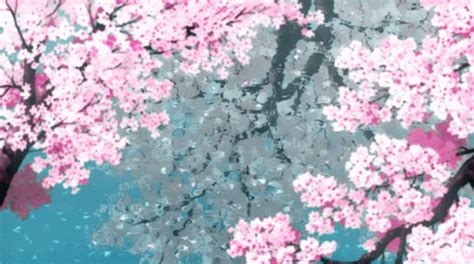 Cherry Blossoms Petals GIF - CherryBlossoms Petals Spring - Discover & Share GIFs