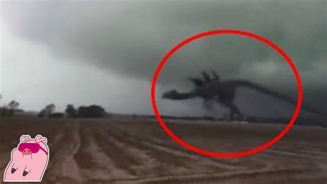 5 Dinosaurs Caught On Camera And Spotted In Real Life YouTube