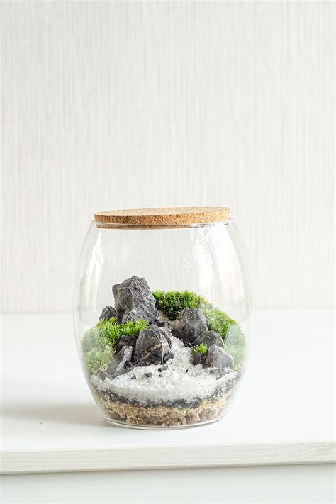 Флорариум - купить в Москве недорого | Магазин Moss-Florarium.ru