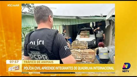 Polícia Civil Prende Membros De Quadrilha Internacional De Tráfico De