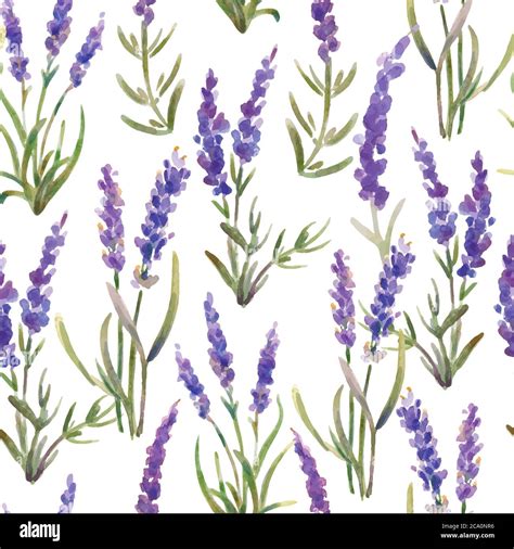 Vector Illustration Seamless Pattern Made Up Of Lavender Flowers