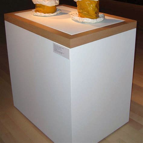 Pedestals & Vitrines | museumpros art services inc.