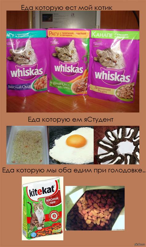 Бывает... | Пикабу