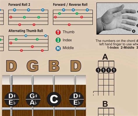 Laminated Banjo Chord Chart Poster Fretboard Rolls 5 String Chords