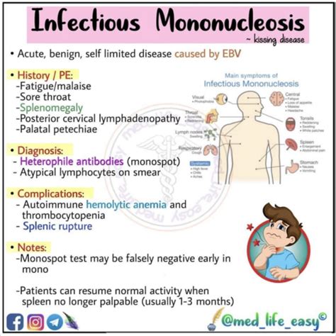 PHYA532 INFECTIOUS DISEASE MAY Flashcards Quizlet