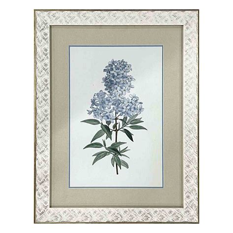 Found Fable Glass Framed Floral Print Wall Art 14x18