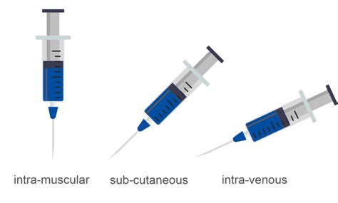 Understanding drug delivery routes