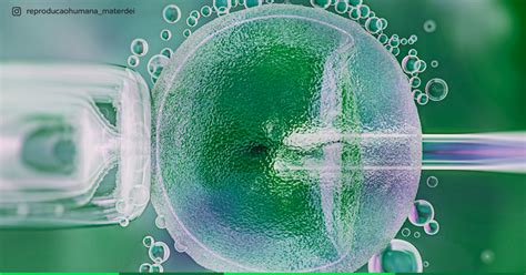 Principais M Todos De Reprodu O Assistida Reprodu O Humana