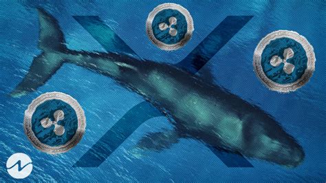 Ripples M Xrp Tokens Moved By Whales In The Last Hours