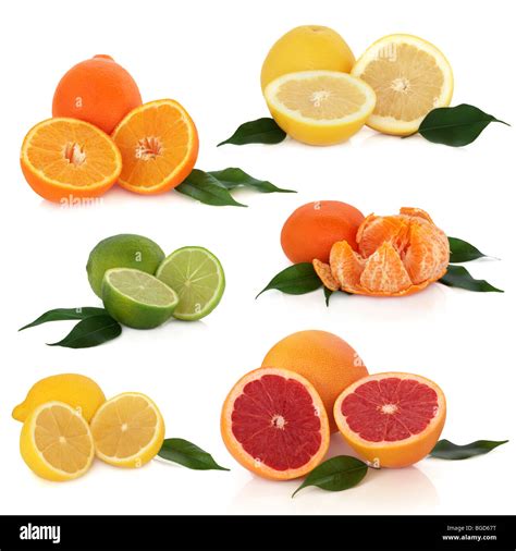 citrus fruit collection  lemons limes oranges tangerine