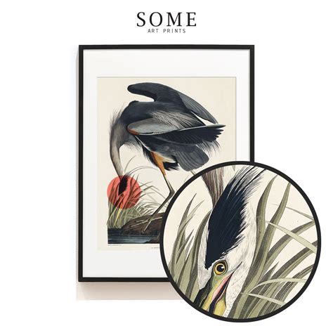Snowy Heron . Vintage Bird Print Set . Audubon Bird Posters . - Etsy