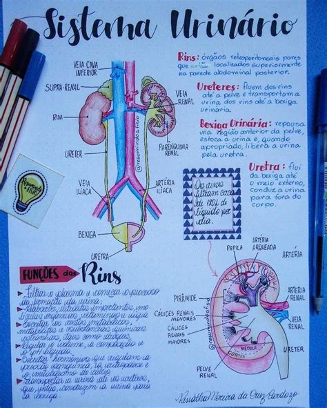 Pin De Andrea Rossana Paez Rodriguez Em Cursos 1 Notas De Biologia