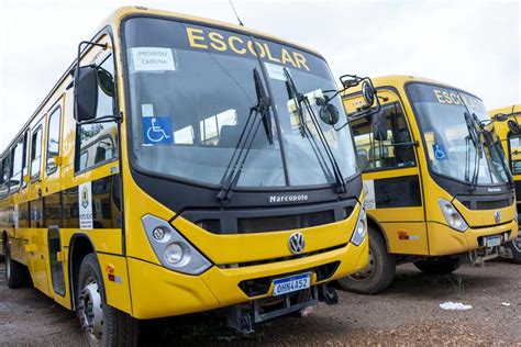 Programa Garante Transporte Escolar Qualidade Aos Alunos Em Porto