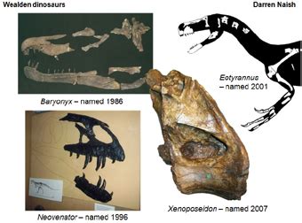 Palaeocast | Palaeontology podcasts