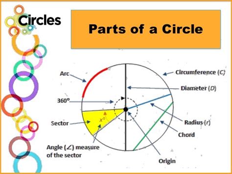 Parts Of Circle Diagram