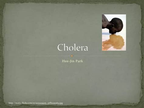 Ppt Cholera Powerpoint Presentation Free Download Id5815008