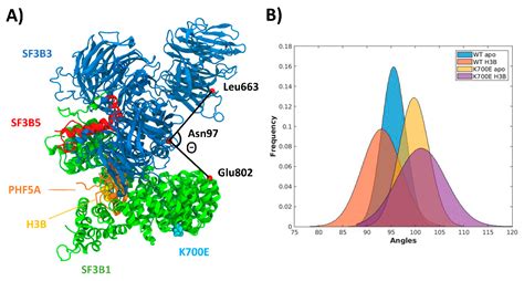 IJMS | Free Full-Text | Investigating the Molecular Mechanism of H3B ...