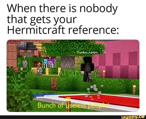 When There Is Nobody That Gets Your Hermitcraft Reference Bunch Of Use Es Popular Memes