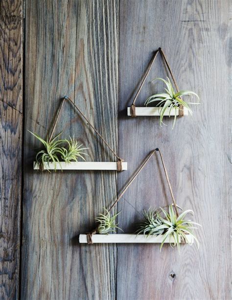 12 DIYs to Get Air Plants On Your Wall