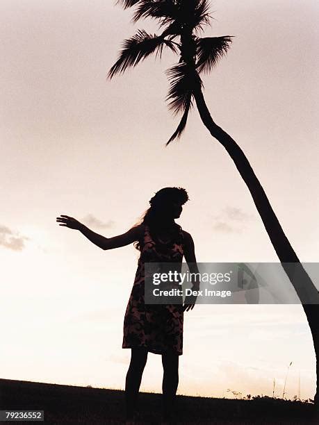 Hula Dancer Silhouette Photos and Premium High Res Pictures - Getty Images