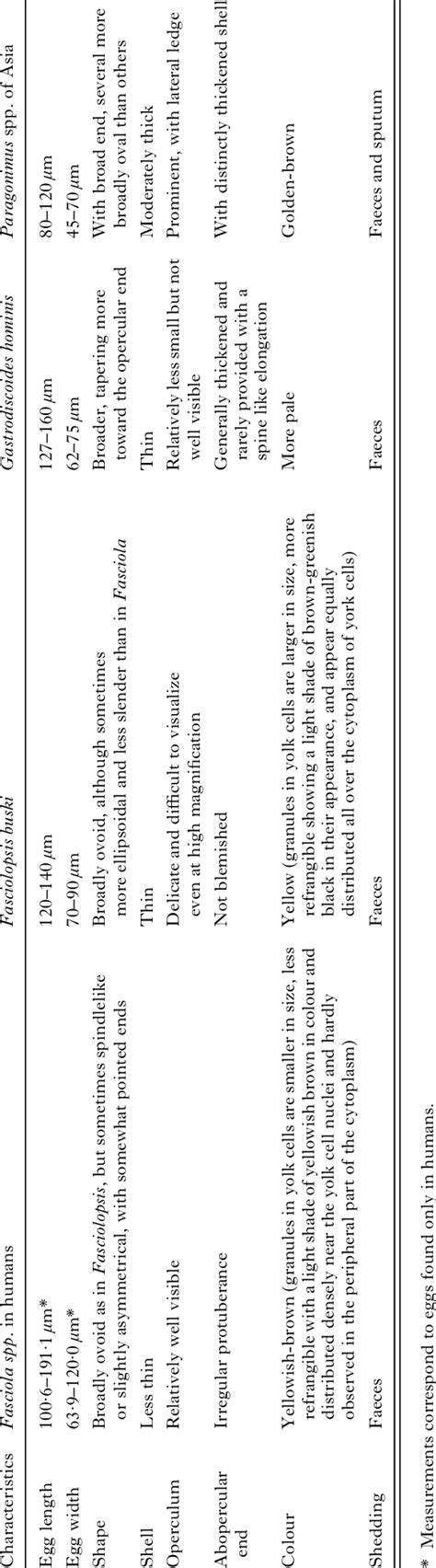 Coprological diagnosis of fascioliasis by morphological differentiation ...