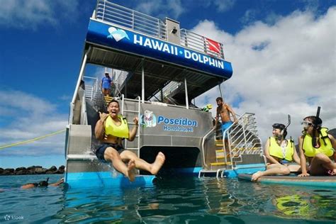 Dolphin Watching And Snorkel With Water Activities In Oahu Klook