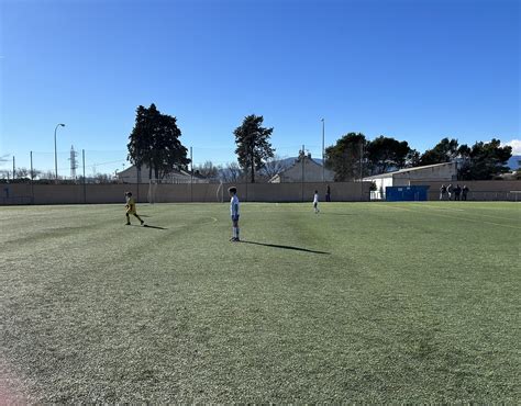 Benjamina Cuc Torrelodones Benjam N A Cuc Villalba