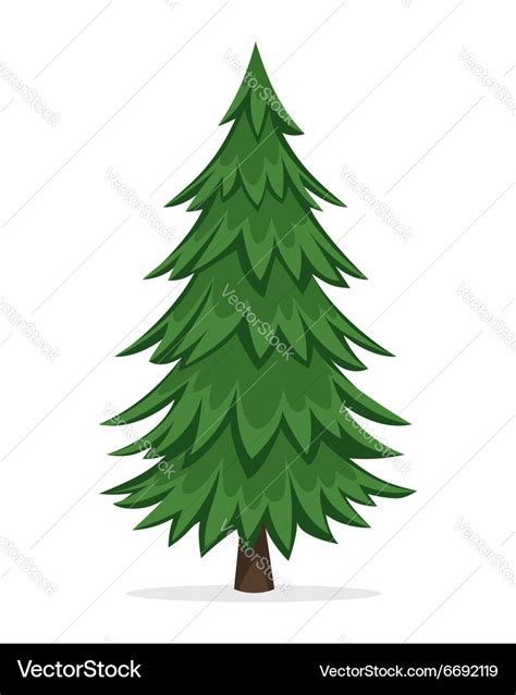 Cartoon pine tree Royalty Free Vector Image - VectorStock