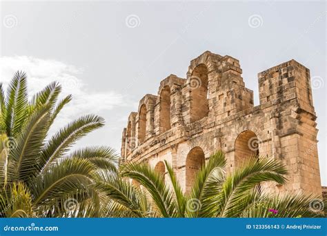 Palmiers Et Roman Amphitheatre D El Djem Tunisie Afrique Image Stock