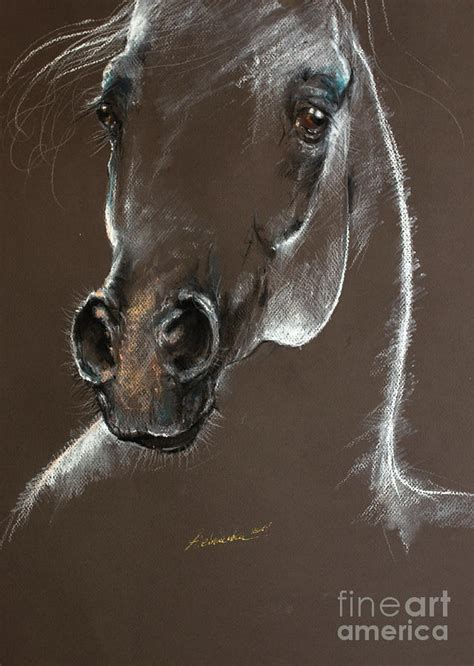 Arabian horse head 2019 04 02 Pastel by Ang El - Pixels