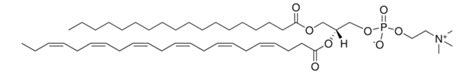 Pc Stearoyl Docosahexaenoyl Sn Glycero Phosphocholine