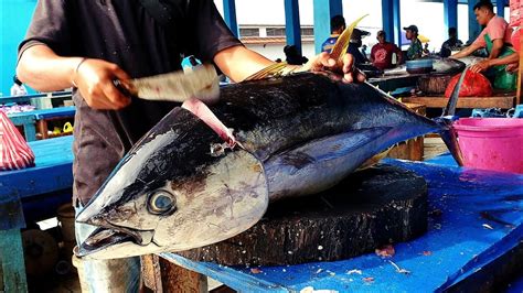 Menakjubkan Parang Pemotong Ikan Abang Iwan Memotong Tuna Sirip Kuning