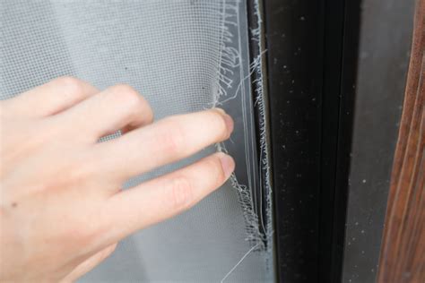 How To Fix A Screen Door Burano Doors