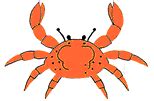 Animated Crab Gif