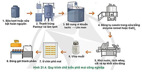 Hãy nêu các bước cơ bản của quy trình sản xuất sữa bột bằng công nghệ