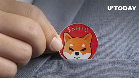 Shiba Inu Sustains Surprising Trend In Holder Base Here S Why It S