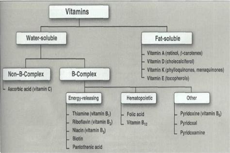 Difference Between Vitamins And Minerals An Overview And Sample Questions