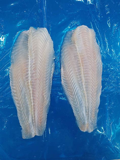 Buy Well Trimmed Pangasius Fillet From PHUONG DONG FOOD PROCESSING