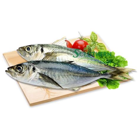 Horse Mackerel - SOUTHERN FRESH FOODS CO., LTD